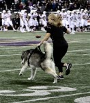 14480715_1190213574378322_6608830570738861421_o1